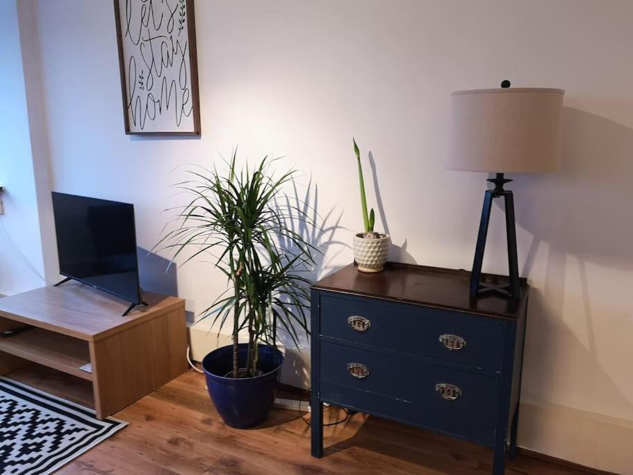 2 Bed Flat, Bounds Green, Piccadilly Line, London N11 Londres Exterior foto